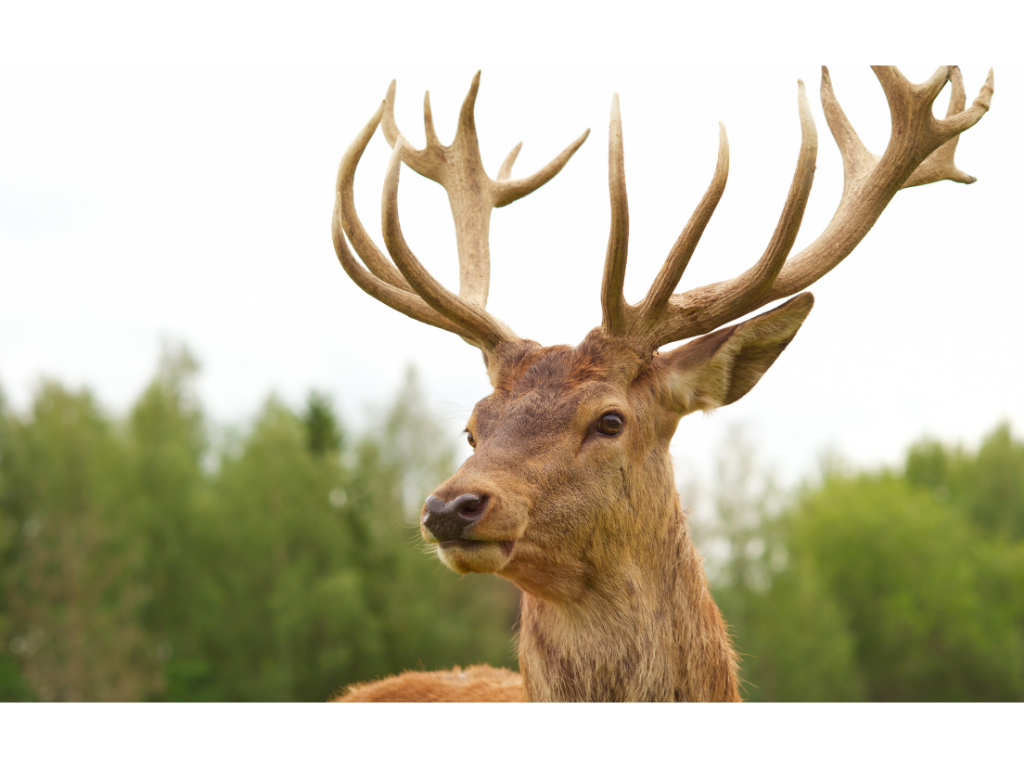 Multiaventura Cazorla y Granada - 3